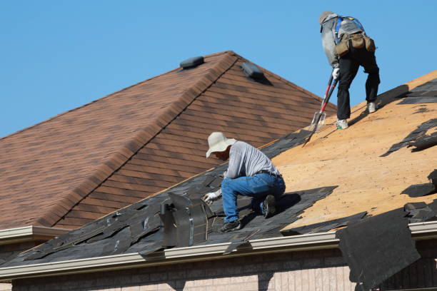Best Roof Ventilation Installation  in Mount Vernon, WA
